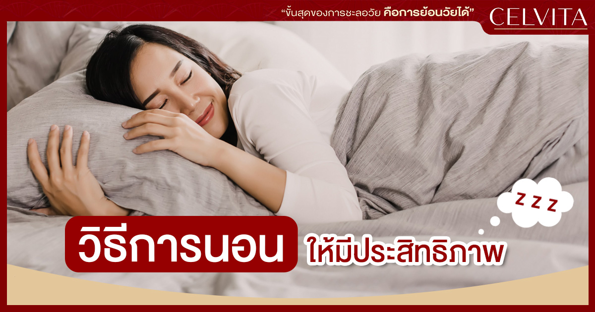 REM Sleep วิธีการนอนให้มีประสิทธิภาพ - Celvita Thailand